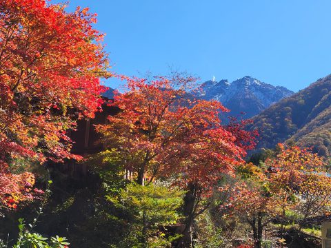 お知らせ詳細画像